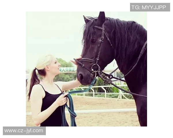 撒贝宁与足球明星亲密合影展现友谊与热爱足球的激情瞬间